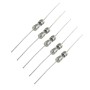 5x Fusibles verre 3.6x10mm fusion lente - temporisé - 1.6A - 250v 